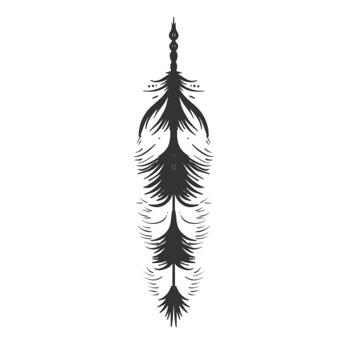 Vector-Illustration-indian-feather