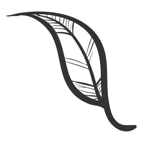 Vector-Illustration-leaf-3