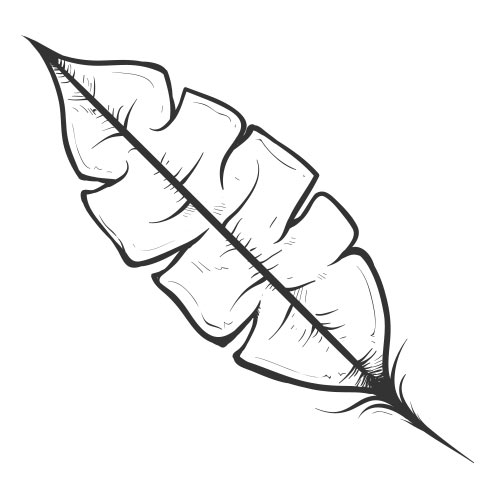Vector-Illustration-leaf