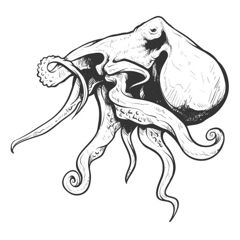 Vector-Illustration-octopus