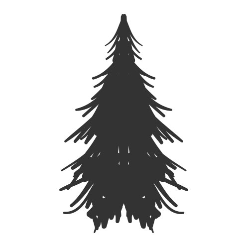 Vector-Illustration-pine-tree