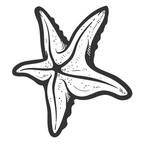 Vector-Illustration-sea-star