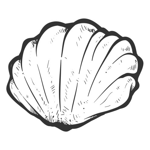 Vector-Illustration-shell