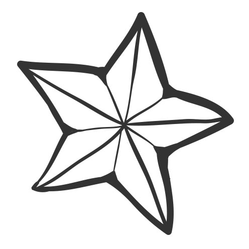 Vector-Illustration-star-2
