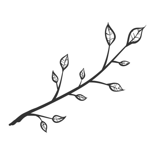 Vector-Illustration-twig-6